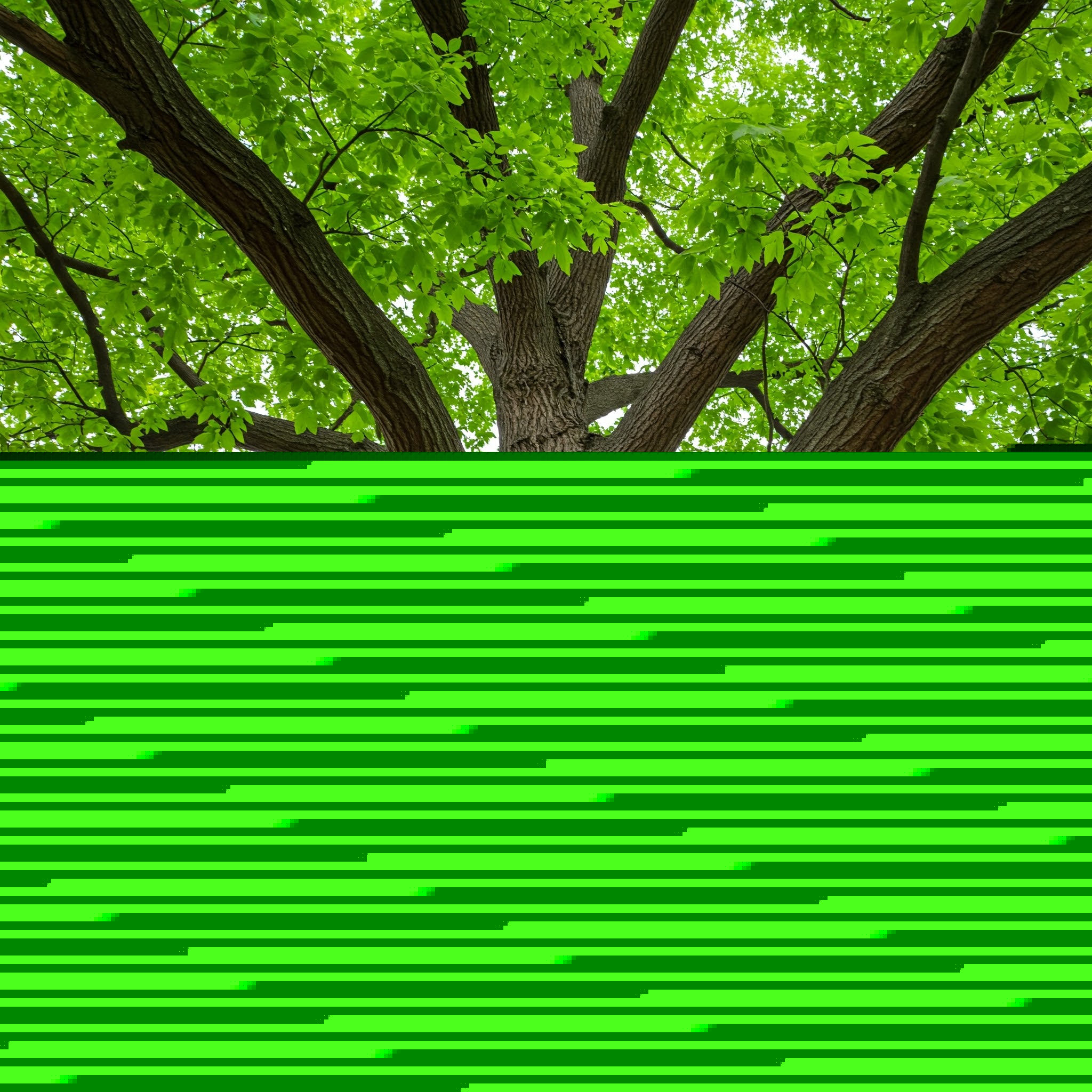 Guide complet du financement de startup